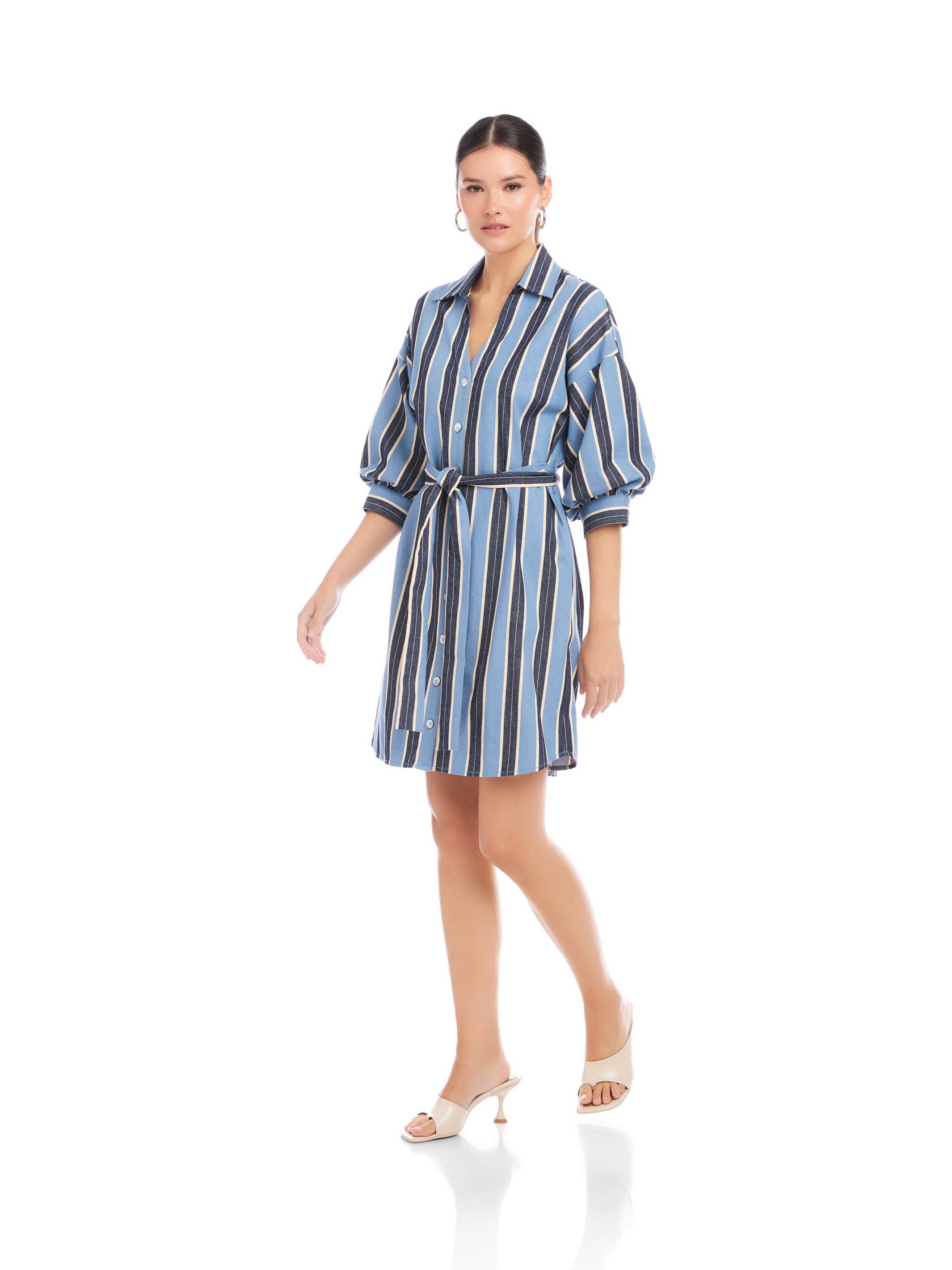 Blaire Lantern Sleeve Tie Dress